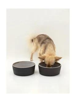 Koiran keraaminen ruokakulhosetti, 2 kulhoa, musta (ylöspäin levenevät kulhot)