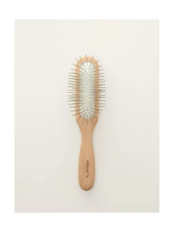 Koiran metallipiikkiharja