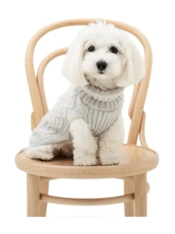 Koiran neule, palmikko, harmaa