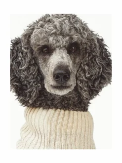 Koiran neule, palmikko, vaalea beige