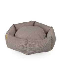 Koiranpeti Kanto x Johanna Gullichsen