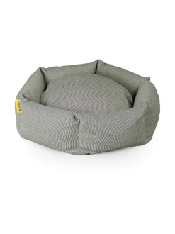 Koiranpeti Kanto x Johanna Gullichsen