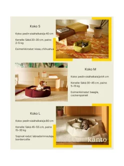 Koiranpeti Kanto x Johanna Gullichsen