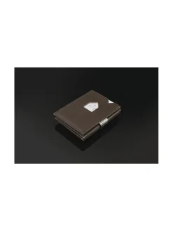 Nahkalompakko, Brown