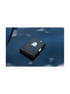 Nahkalompakko, Caiman Black