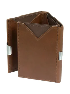 Nahkalompakko, Hazelnut