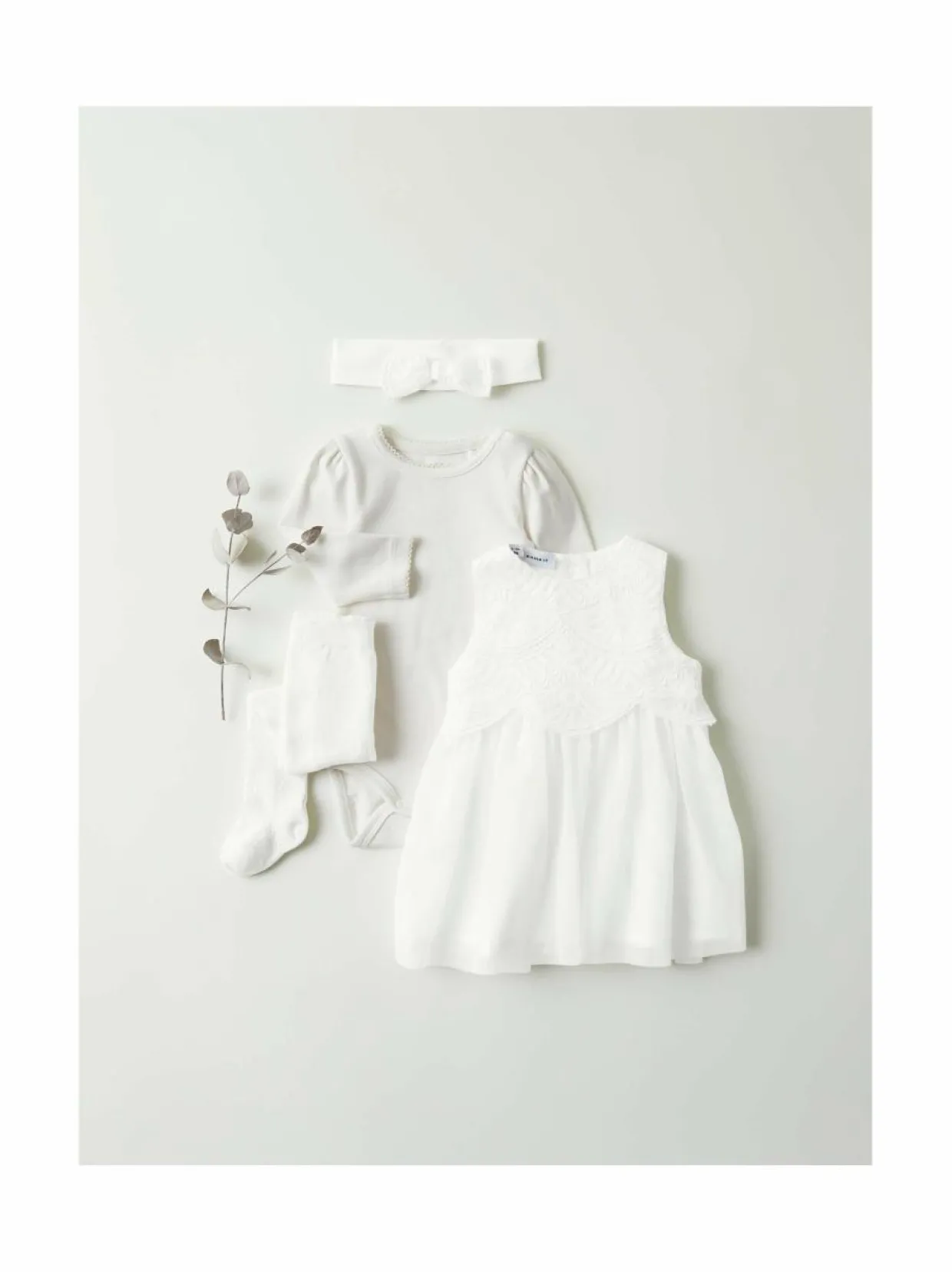 NbfNikol-pitsirusettipanta