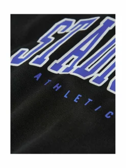 NkfLiona-collegepaita