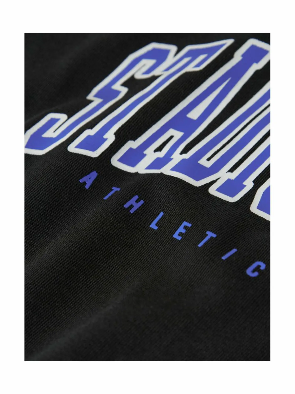 NkfLiona-collegepaita