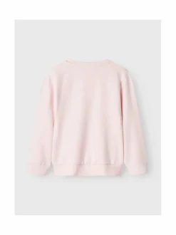 NmfDcare-collegepaita