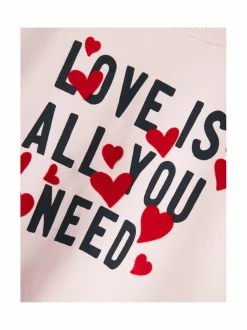 NmfDcare-collegepaita