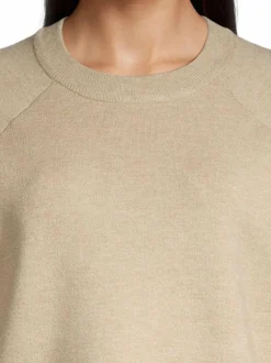 ObjReynard-neulepusero