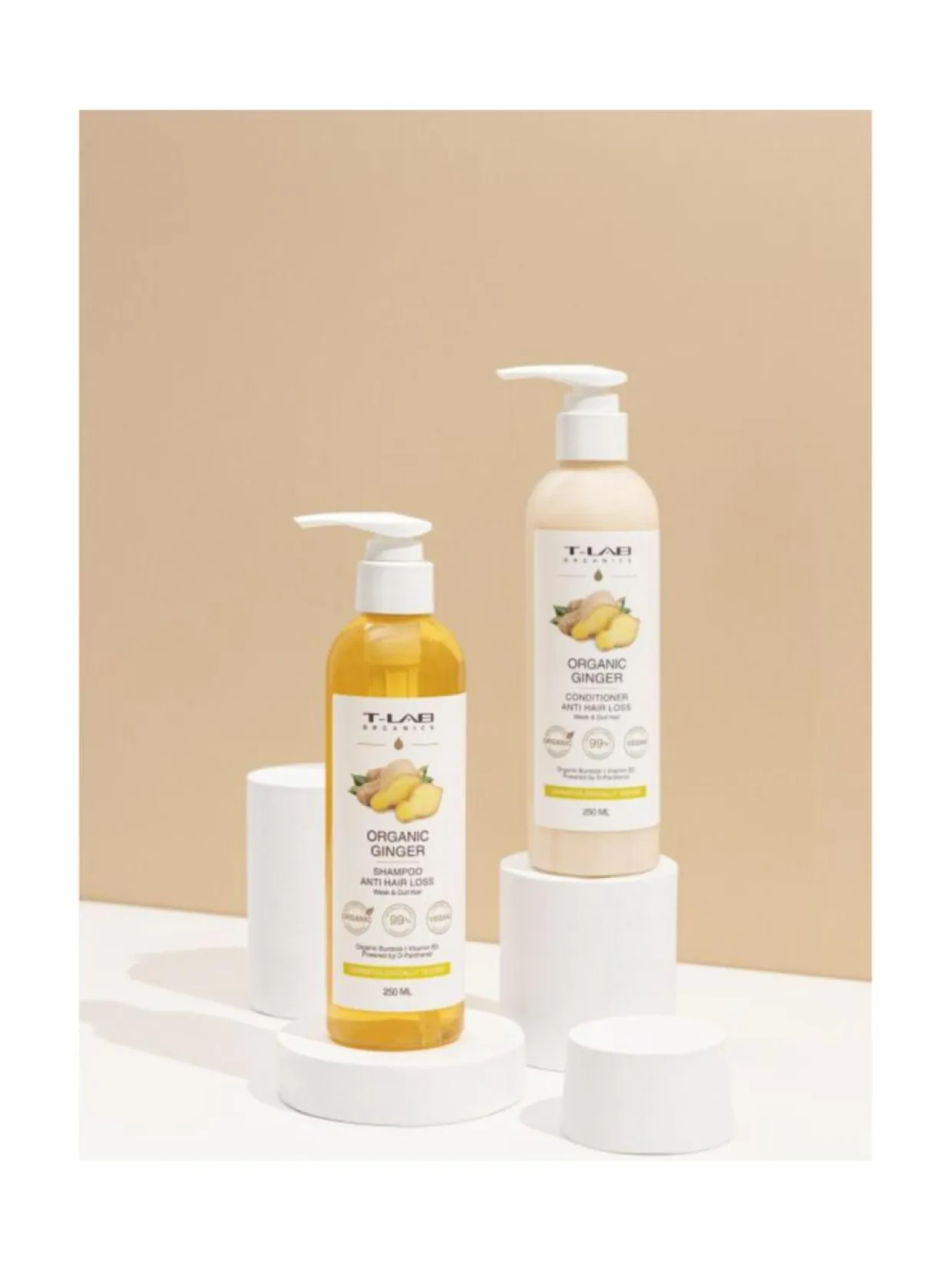 Organic Ginger Anti Hair Loss Conditioner -hoitoaine hauraille hiuksille 250ml