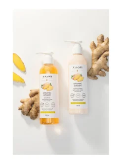 Organic Ginger Duo Set -hiustenhoitopakkaus, 2 tuotetta