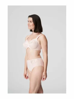 Orlando Full Brief -alushousut