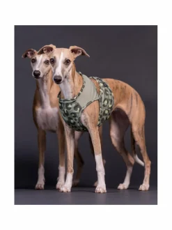 PAIKKA Cool Vest Green Leo