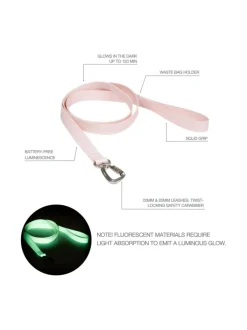 PAIKKA Glow Leash Pale Pink