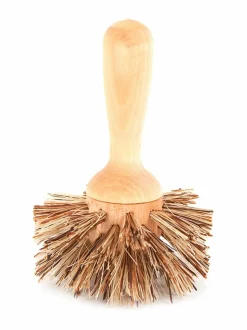 Pata- ja juuresharja