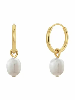 Perla Hoops Gold -korvakorut
