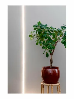 Plant Light Led Strip - LED-kasvivalaisin 2m