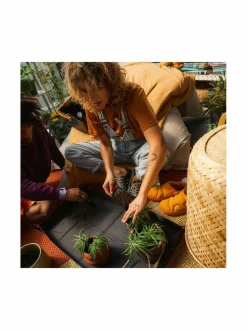 Planting & Repotting -istutusalusta