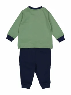 Polo Bear-collegesetti