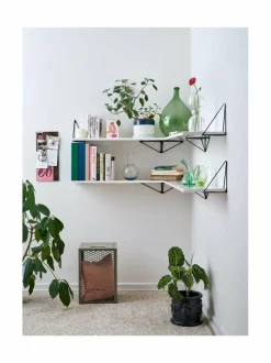 Pythagoras-seinähylly L