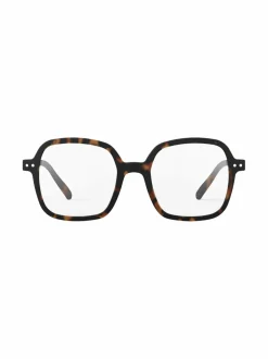 Reading Office +2 -lukulasit