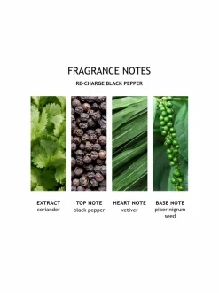 Re-charge Black Pepper Bath & Shower Gel -suihkugeeli 300 ml