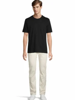 Regular Desert-farkut