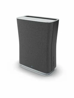 Roger Little -ilmanpuhdistin