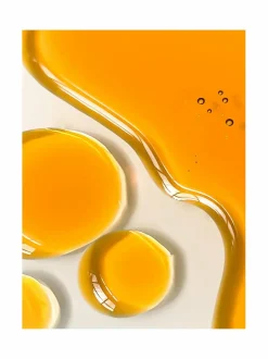 Rosehip Bioregenerate Universal Face Oil -kasvoöljy 30 ml