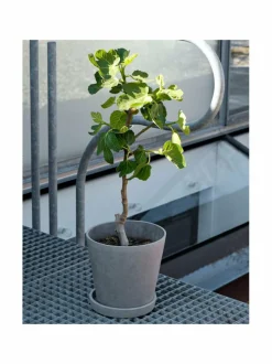 Ruukku ja aluslautanen ø 14 cm