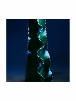 Sauvage The Cleanser -puhdistusgeeli