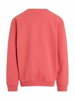 Script Logo -collegepaita