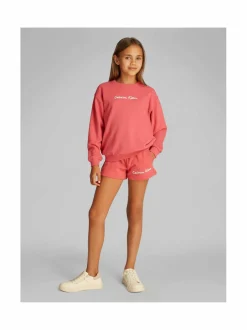 Script Logo -collegepaita