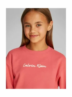 Script Logo -collegepaita