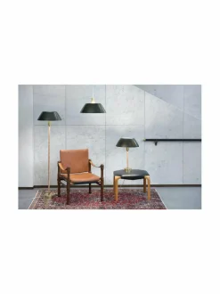 Senator-lattiavalaisin