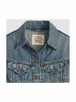 Shrunken 90's -farkkuliivi