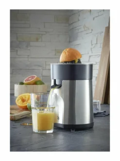 Stelio-sitruspuristin