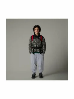 Teen 1996 Retro Nuptse -untuvatakki