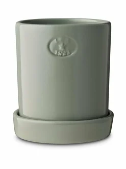 Terrakotta-kasviruukku