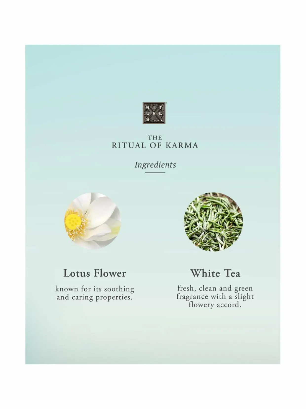 The Ritual of Karma Medium Gift Set -ihonhoitopakkaus