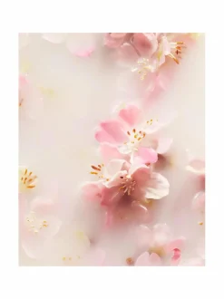 The Ritual of Sakura Medium Gift Set -ihonhoitopakkaus