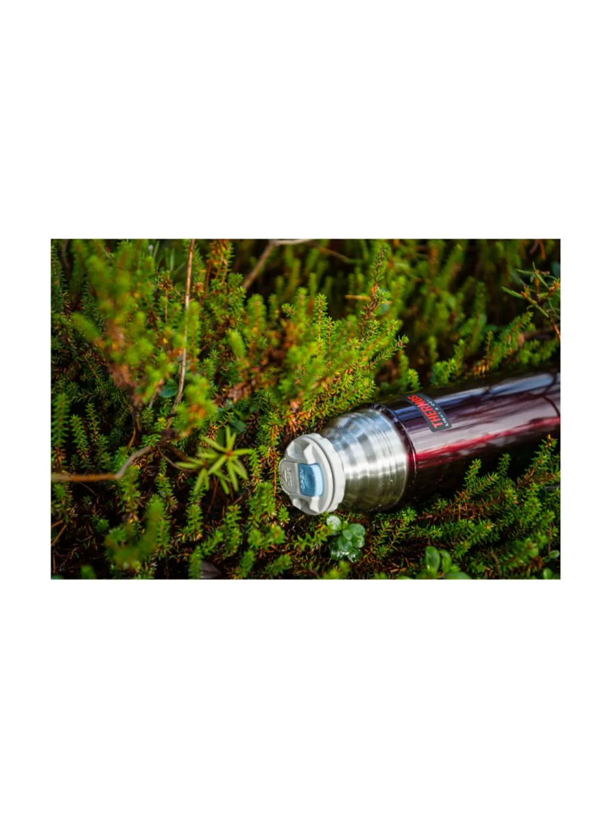 Thermos Midnight Red 0,5 l