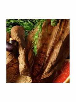 Tobacco Absolute Body Wash -suihkugeeli 300 ml