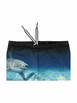 Trunks 10 -uimahousut