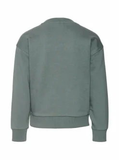 VmBrenda Well -collegepaita