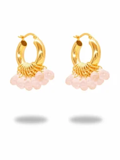 Whipped Dreams -korvakorut