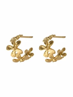 Wild Poppy -korvakorut